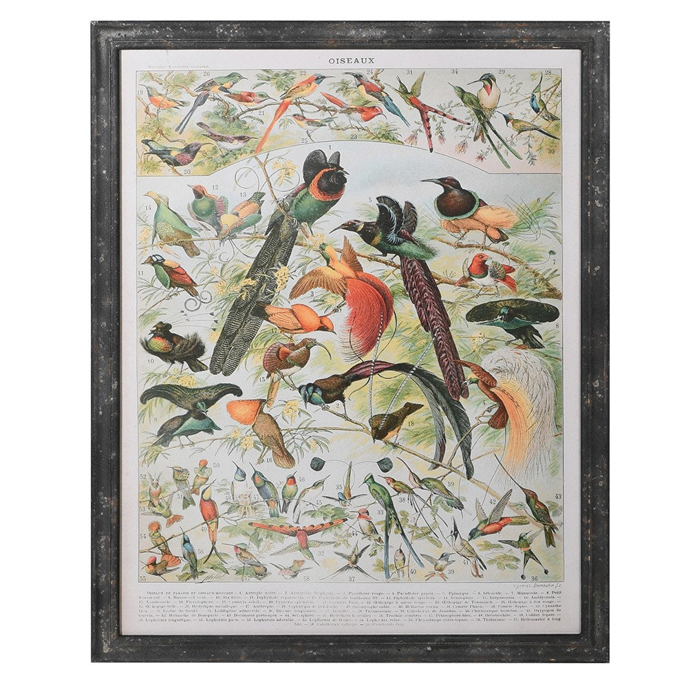 THE BIRDS PICTURE FRAME