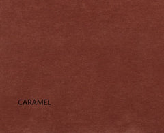 SIENA 2.5 SEATER POWERED RECLINER