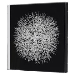 CORAL WHITE FRAMED WALL ART